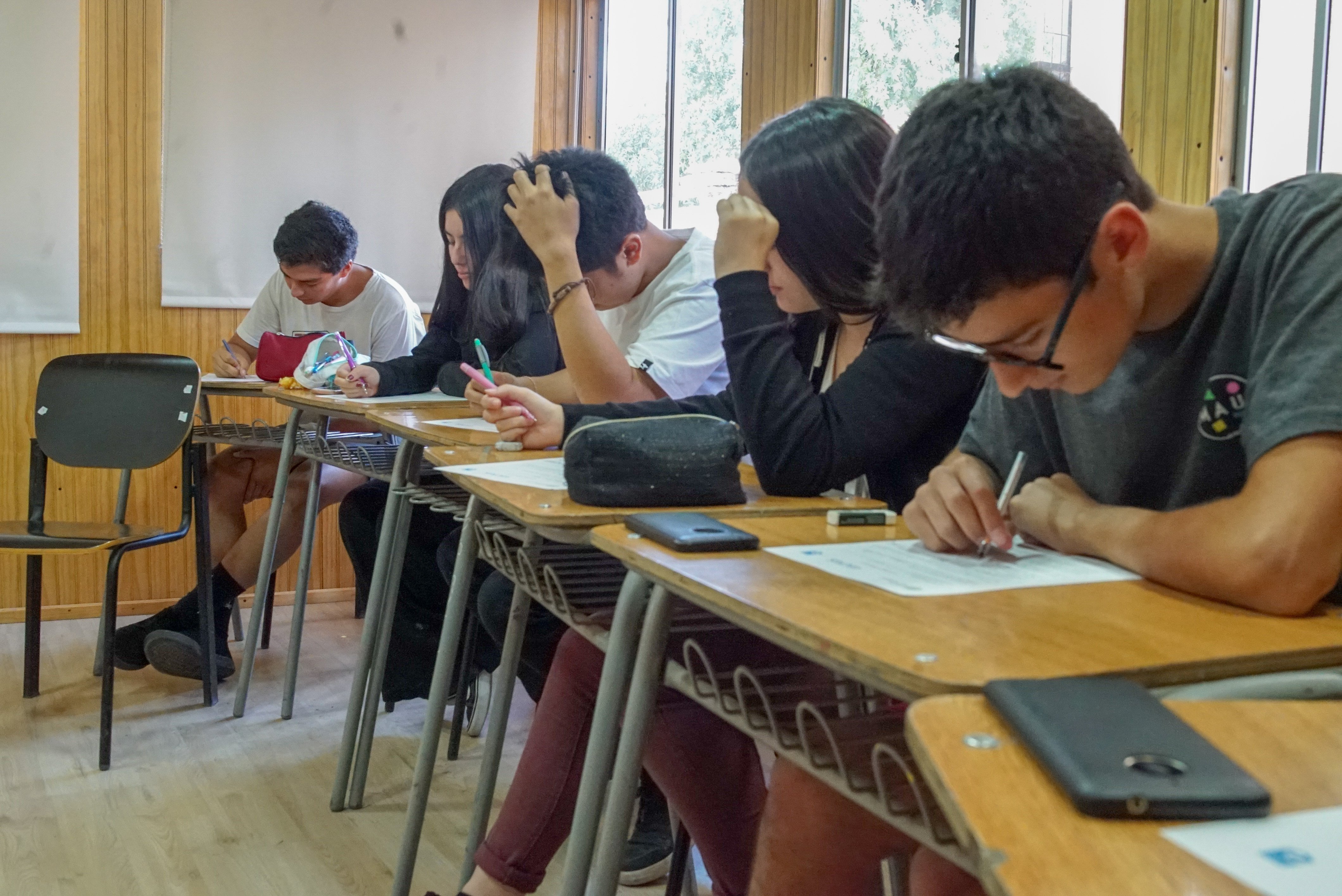 Programas Intensivos Egresados PAES